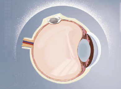 恒峰g22(国际)官网入口-天天有惊喜