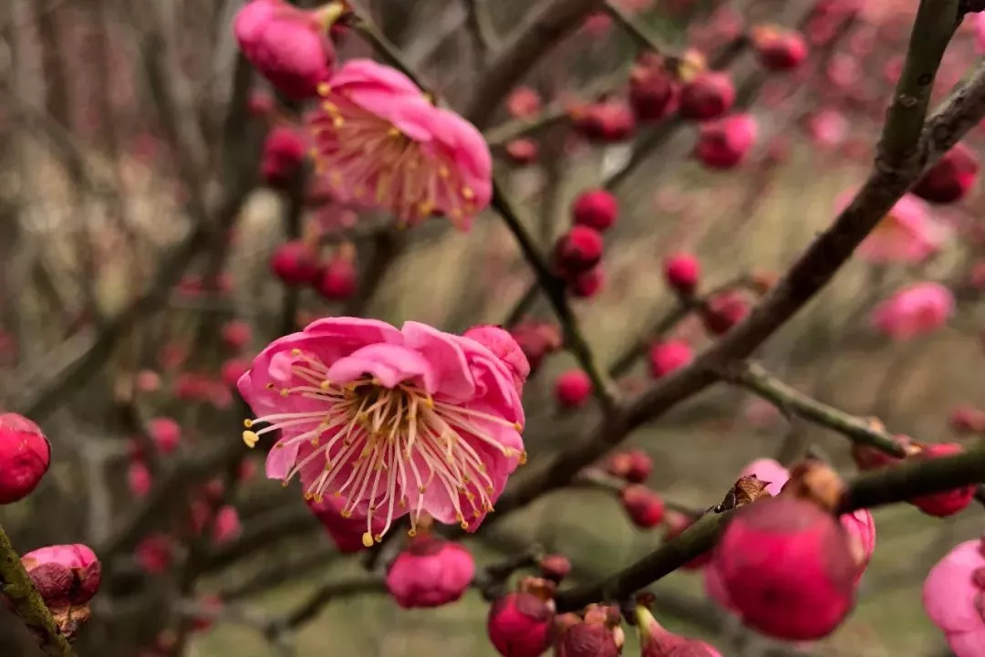 恒峰g22(国际)官网入口-天天有惊喜