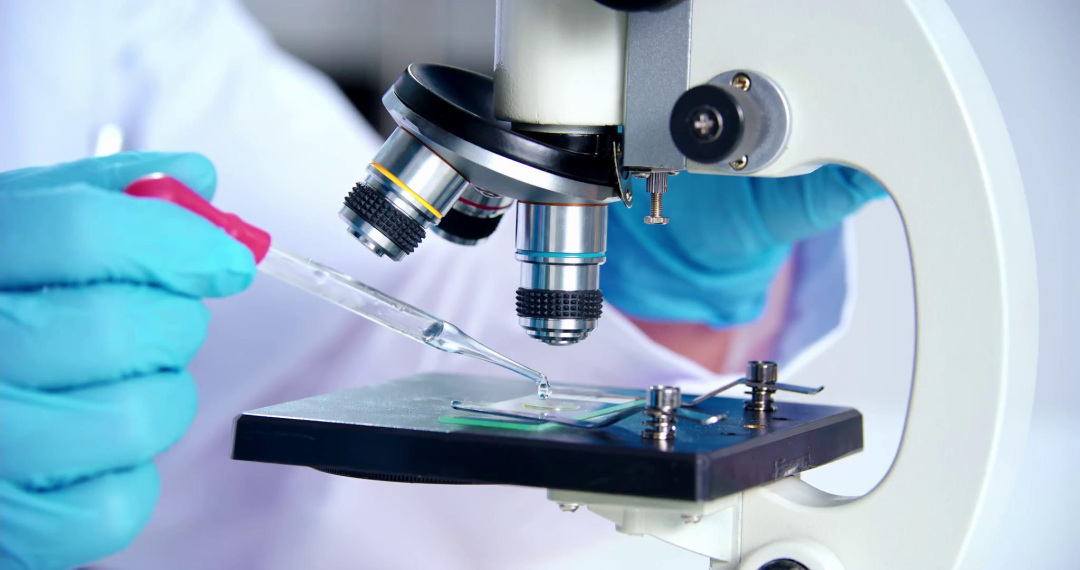 恒峰g22(国际)官网入口-天天有惊喜