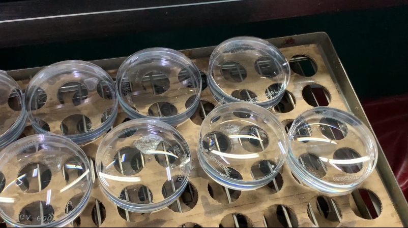 恒峰g22(国际)官网入口-天天有惊喜