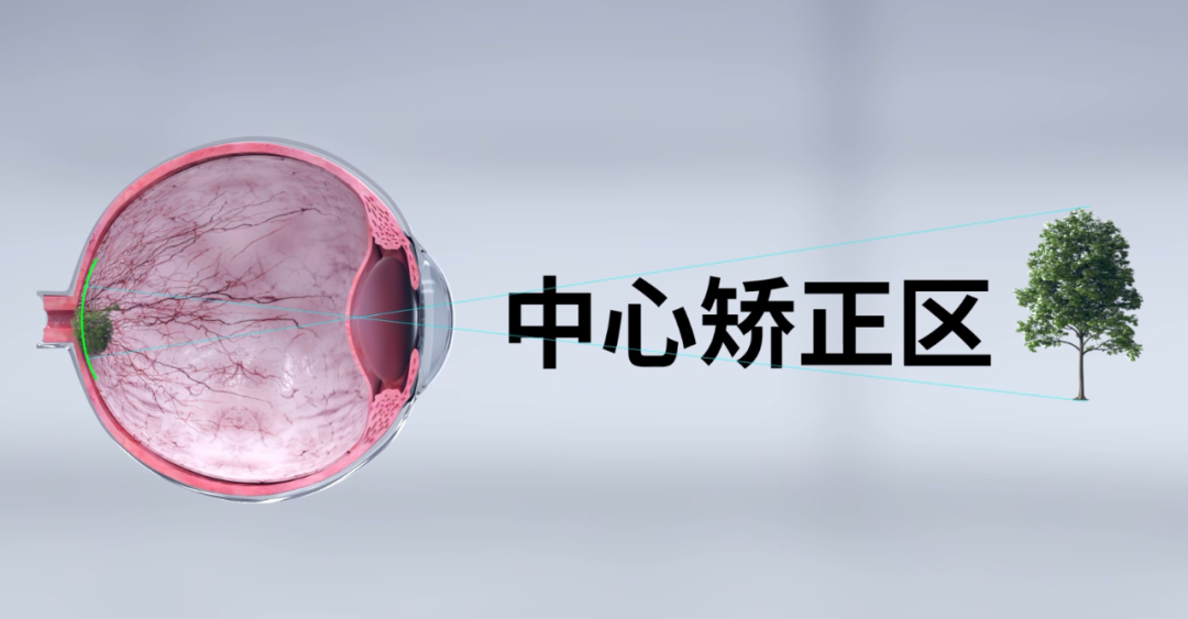 恒峰g22(国际)官网入口-天天有惊喜